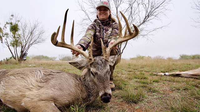 Best State For Elk Hunting