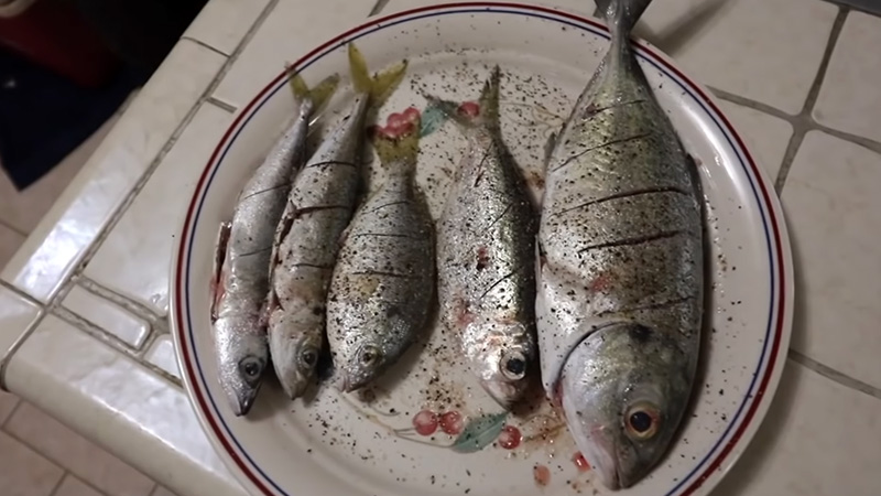 Are These Fish Edible
