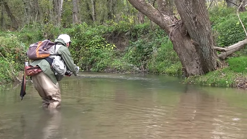 Trout Fishing Without Fly Rod 