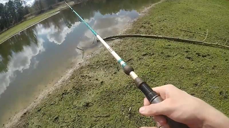 How To Catch A Turtle With A Fishing Pole FI