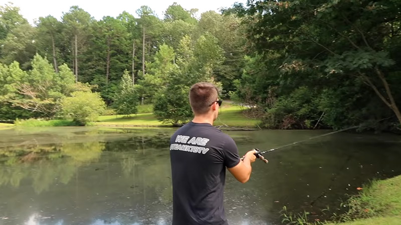 Pond Bass Fishing Tips And Techniques
