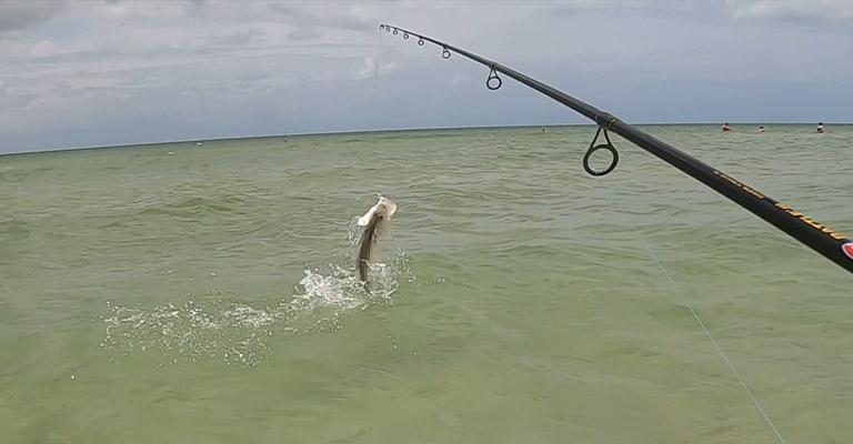 Favorite Fishing Spot In Florida