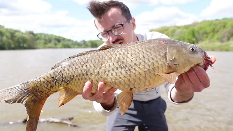 What Carp Species Is Best To Eat