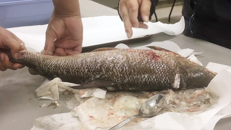What Happens If You Eat Fish Scales